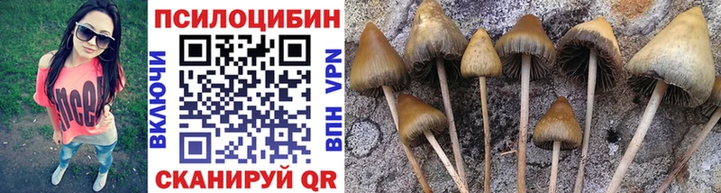 Псилоцибиновые грибы Psilocybine cubensis  блэк спрут зеркало  Кизилюрт 